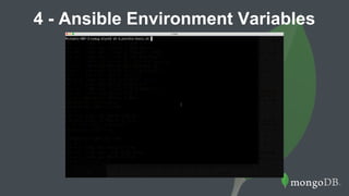 4 - Ansible Environment Variables
 