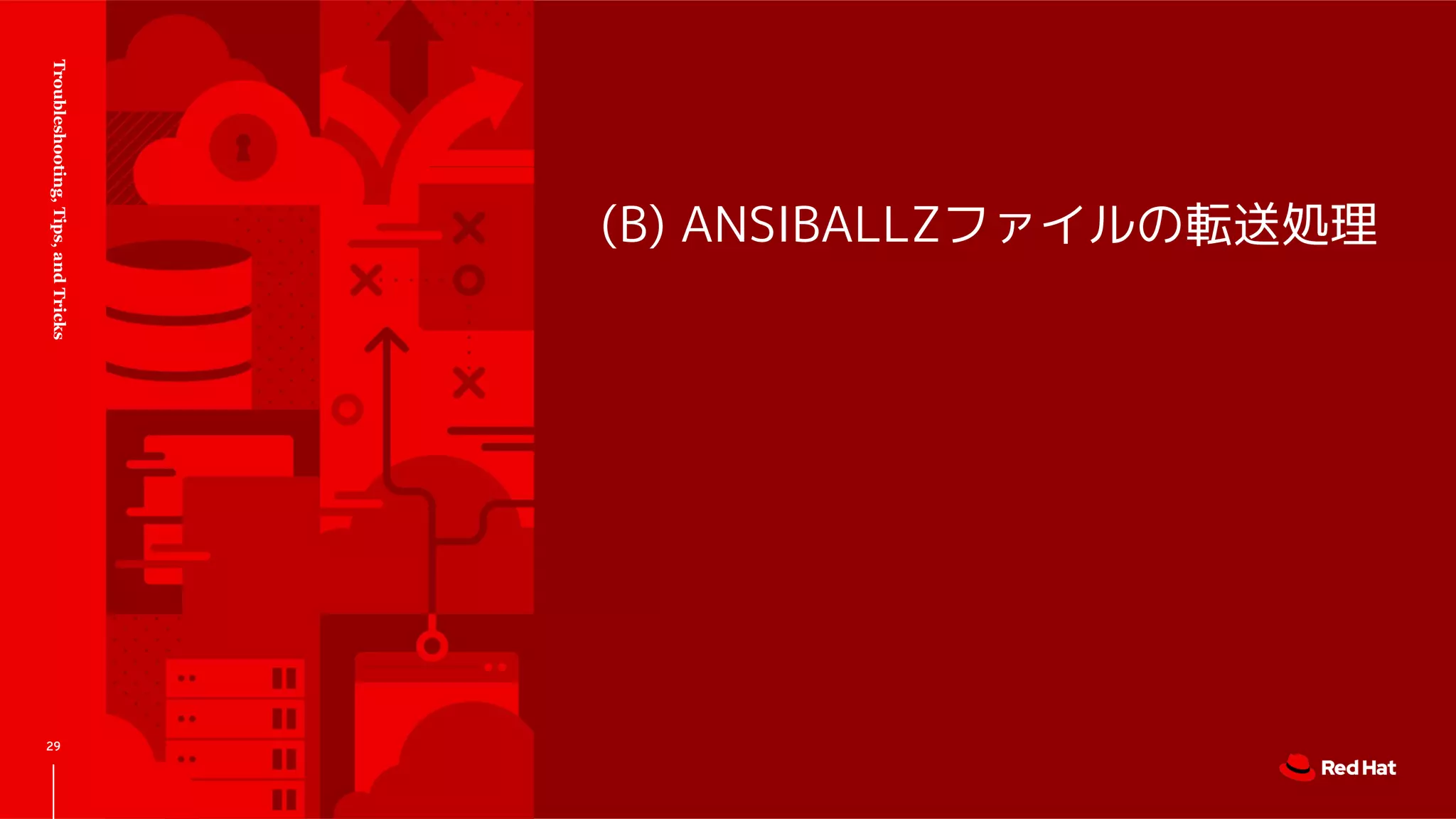 (B) ANSIBALLZファイルの転送処理
Troubleshooting,Tips,andTricks
29
 