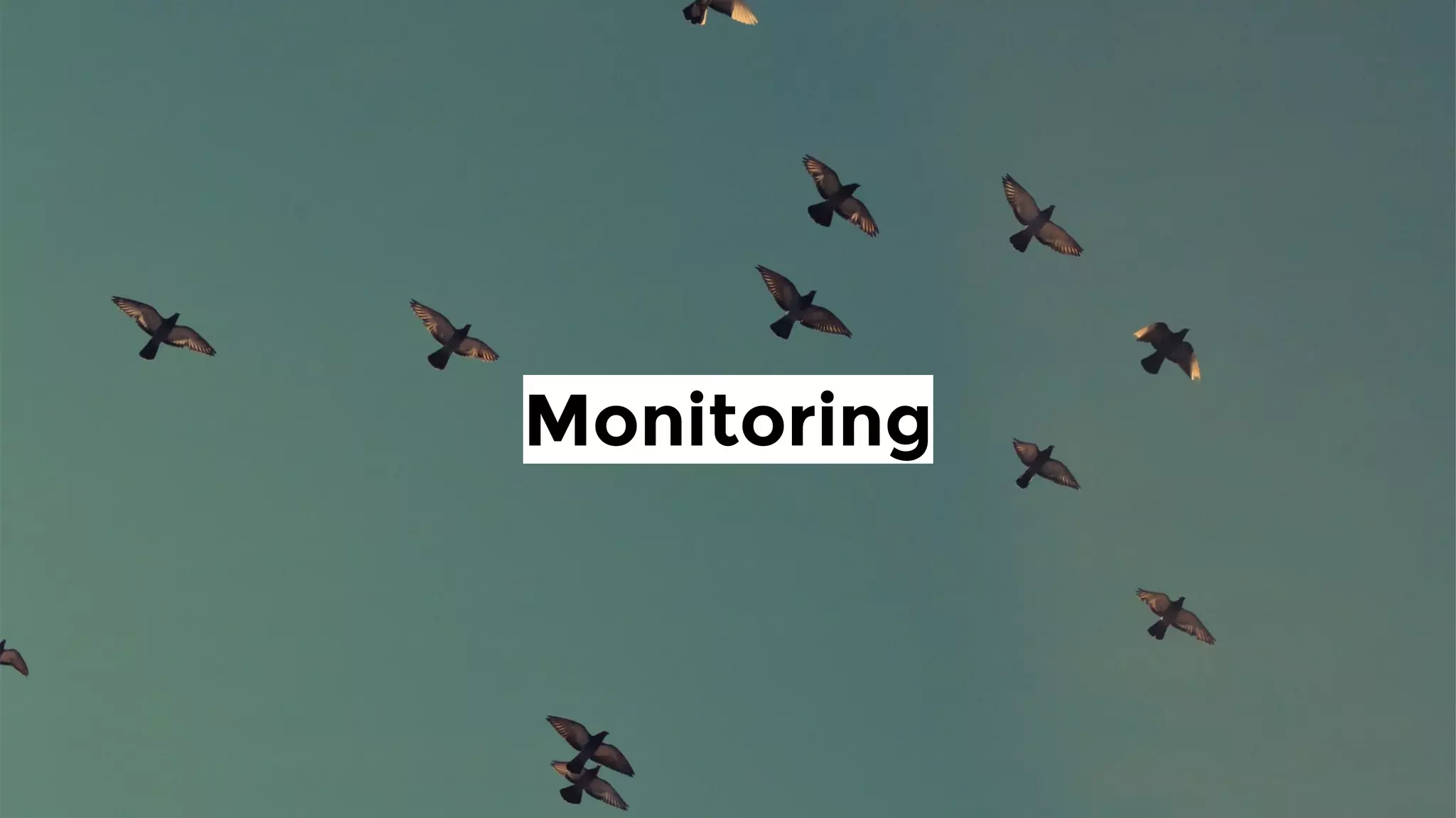 Monitoring
 