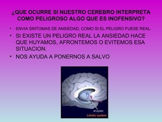 ¿QUE OCURRE SI NUESTRO CEREBRO INTERPRETA
      COMO PELIGROSO ALGO QUE ES INOFENSIVO?
•    ENVIA SINTOMAS DE ANSIEDAD, COMO SI EL PELIGRO FUESE REAL.
• SI EXISTE UN PELIGRO REAL LA ANSIEDAD HACE
  QUE HUYAMOS, AFRONTEMOS O EVITEMOS ESA
  SITUACION.
• NOS AYUDA A PONERNOS A SALVO
 