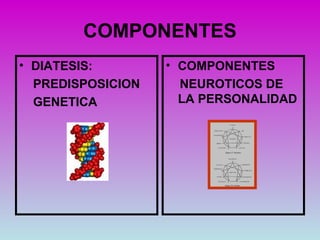COMPONENTES
• DIATESIS:        • COMPONENTES
  PREDISPOSICION     NEUROTICOS DE
  GENETICA           LA PERSONALIDAD
 