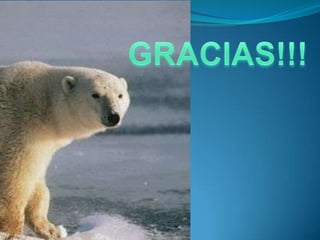 Buscar un profesional  especialista en terapias cognitivo – conductual.