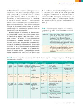 • Plantas medicinales contra la ansiedad
julio-septiembre de 2015 • ciencia 71
tradicionalmente ha necesitado de éstas para curar sus
enfermedades. Así, mezcla de magia y religión, combi-
nada con necesidad y casualidad, de ensayo y error, el
paso de las diferentes culturas ha creado todo un co-
nocimiento de remedios vegetales que ha constituido
la base de la medicina moderna. La etnobotánica se
refiere al estudio de las relaciones que existen entre las
plantas y los grupos locales, cómo se conectan y cómo
influyen en el desarrollo de las culturas. Su estudio es
importante porque representa una aproximación al uso
y manejo de los recursos naturales.
En las comunidades mexicanas, las plantas de ma-
yor demanda son aquellas con propiedades sobre el snc;
la población las describe como para tratar: “los ner-
vios”, “el susto” y “el espanto”, o contra el insomnio, el
nerviosismo, la excitación nerviosa, para tranquilizar
y contra el dolor. Los médicos tradicionales y comer-
ciantes de dichas plantas mantienen el recurso de la
herbolaria en activo. Ejemplo de ello son las entrevis-
tas realizadas durante 2013 sobre las especies vegeta-
les que de manera general y comúnmente se utilizan
para el tratamiento de “los nervios” en Morelos, uno
de los estados con mayor biodiversidad y aplicación de
la herbolaria (véase Tabla 1). De modo particular,
se ejemplifica la información de entrevistas realizadas
a curanderos sobre tres especies medicinales que fue-
ron seleccionadas debido a que no cuentan con estu-
dios preclínicos: muicle, pericón y cempasúchil (véase
Tabla 2).
Tabla 1. Especies vegetales empleadas por curanderos y
comerciantes del estado de Morelos para el tratamiento
de “los nervios”.
Curanderos Hojas de laurel, hojas de guayaba, arrayán, pasiflora,
damiana, tila, tilia, valeriana, hojas de zapote
blanco, muicle, pericón, guanasana, prodigiosa,
tumbavaquero, guaco, pasiflora, contra yerba
blanca, cenizo de Monterrey, ruda, orégano, canela,
floripondio, azahares de todos los cítricos, jícuri, flor
de cempasúchil, jengibre, flores de magnolia, flores de
manzana, xompantle, jazmín y lechuga.
Comerciantes Magnolia, azahares, manita, tila, toronjil, eneldo o
hinojo, xoloxóchitl, manzanilla, damiana de California,
flor de manita, hojas de zapote blanco, pericón,
toronjil, neem, hoja santa, valeriana, pasiflora, ajenjo y
tumbavaquero.
Tabla 2. Entrevistas específicas a curanderos del estado de Morelos respecto a tres especies vegetales utilizadas para el
tratamiento de “los nervios”.
Nombre Edad Ocupación Originario
Plantas para
“los nervios”
Plantas en
estudio Uso medicinal
Forma de
administración
Aurelio
Ramírez
Cázarez
75
años
Campesino,
granicero
Amatlán de
Quetzalcóatl,
Tepoztlán
•	 Laurel
•	 Hojas de guayaba
•	 Arrayán
•	 Pasiflora
•	 Damiana
Muicle •	 Limpiar sangre
•	 Para “los nervios”
Infusión
Pericón •	 Contra “los nervios” Temazcal con hierbas
(laurel, romero,
eucalipto y pirul)
Cempasúchil •	 Empacho Infusión
Sofía Díaz
Hernández
49
años
Promotora
de salud
Solusuchia-
pa, Chiapas
•	 Tilia
•	 Valeriana
•	 Zapote blanco
Muicle •	 Depurador de sangre Infusión
Pericón •	 Posparto
•	 Quita la frialdad
En baños
Cempasúchil •	 Contra el dolor de estómago
•	 Contra infecciones vaginales
Infusión
María de la
Paz Puebla
Alvear
58
años
Partera,
curandera
Santa María,
Cuernavaca
•	 Guanasana
•	 Prodigiosa
•	 Tumbavaquero
•	 Guaco
•	 Contra yerba
blanca
Muicle •	 Depurador de sangre
•	 Multivitamínico
•	 Oxigena al cuerpo
Infusión
Pericón •	 Quita empachos (causados
por “los nervios”)
•	 “Saca el frío”
•	 Cuando los niños orinan
Pomadas
Cempasúchil •	 Quita empachos (causados
por “los nervios”)
•	 “Saca el frío”
•	 Cuando los niños orinan
Pomadas
 