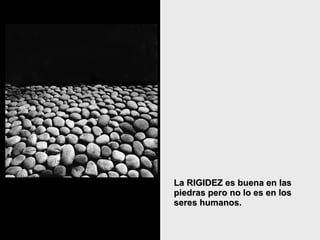 La RIGIDEZ es buena en las piedras pero no lo es en los seres humanos.  