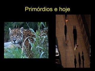 Primórdios e hoje