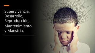 Supervivencia,
Desarrollo,
Reproducción,
Mantenimiento
y Maestria.
 
