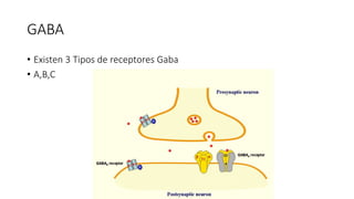 GABA
• Existen 3 Tipos de receptores Gaba
• A,B,C
 