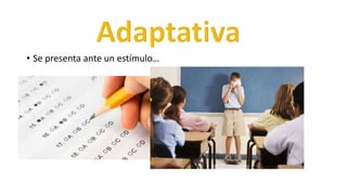 • Se presenta ante un estímulo…