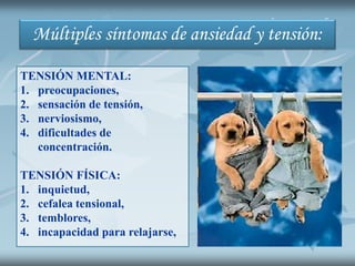 Múltiples síntomas de ansiedad y tensión:
TENSIÓN MENTAL:
1. preocupaciones,
2. sensación de tensión,
3. nerviosismo,
4. dificultades de
concentración.
TENSIÓN FÍSICA:
1. inquietud,
2. cefalea tensional,
3. temblores,
4. incapacidad para relajarse,
 