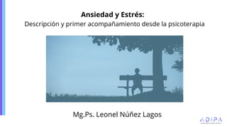 Ansiedad y Estrés: Psicoterapia Breve para la Salud Mental en ...