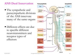 ANS intro JUNE 2022Samuel.pdf bachelors of medical educ | PDF