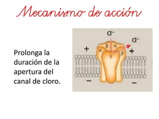 Prolonga la
duración de la
apertura del
canal de cloro.
 