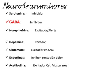  Serotonina: Inhibidor
GABA: Inhibidor
 Norepinefrina: Excitador/Alerta
 Dopamina: Excitador
 Glutamato: Excitador en SNC
 Endorfinas: Inhiben sensación dolor.
 Acetilcolina: Excitador Cel. Musculares
 