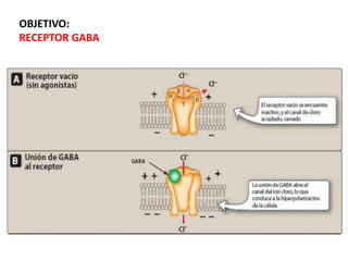OBJETIVO:
RECEPTOR GABA
 