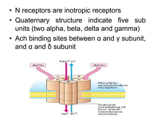 • N receptors are inotropic receptors
• Quaternary structure indicate five sub
units (two alpha, beta, delta and gamma)
• Ach binding sites between α and γ subunit,
and α and δ subunit
 