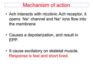 Mechanism of action
• Ach interacts with nicotinic Ach receptor, it
opens Na+ channel and Na+ ions flow into
the membrane
• Causes a depolarization, and result in
EPP.
• It cause excitatory on skeletal muscle.
Response is fast and short lived.
 