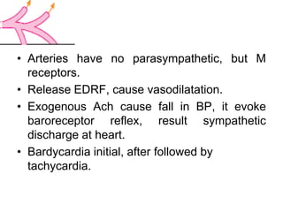 • Arteries have no parasympathetic, but M
receptors.
• Release EDRF, cause vasodilatation.
• Exogenous Ach cause fall in BP, it evoke
baroreceptor reflex, result sympathetic
discharge at heart.
• Bardycardia initial, after followed by
tachycardia.
 