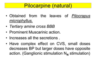 Pilocarpine (natural)
• Obtained from the leaves of Pilocrapus
microphyllus.
• Tertiary amine cross BBB
• Prominent Muscarinic action.
• Increases all the secretions .
• Have complex effect on CVS, small doses
decreases BP but larger doses have opposite
action. (Ganglionic stimulation NN stimulation)
 
