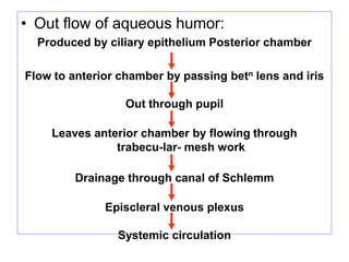 • Out flow of aqueous humor:
Produced by ciliary epithelium Posterior chamber
Flow to anterior chamber by passing betn lens and iris
Out through pupil
Leaves anterior chamber by flowing through
trabecu-lar- mesh work
Drainage through canal of Schlemm
Episcleral venous plexus
Systemic circulation
 