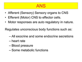 ANS
• Afferent (Sensory) Sensory organs to CNS
• Efferent (Motor) CNS to effector cells.
• Motor responses are auto regulatory in nature.
Regulates unconscious body functions such as:
– All exocrine and some endocrine secretions
– heart rate
– Blood pressure
– Some metabolic functions
 