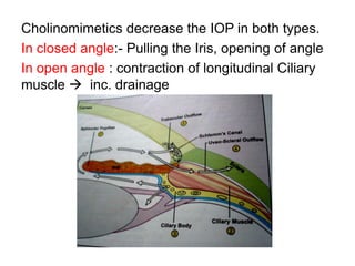 Cholinomimetics decrease the IOP in both types.
In closed angle:- Pulling the Iris, opening of angle
In open angle : contraction of longitudinal Ciliary
muscle  inc. drainage
 