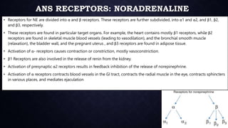 ANS PHARMACOLOGY BPH 2023.pptx