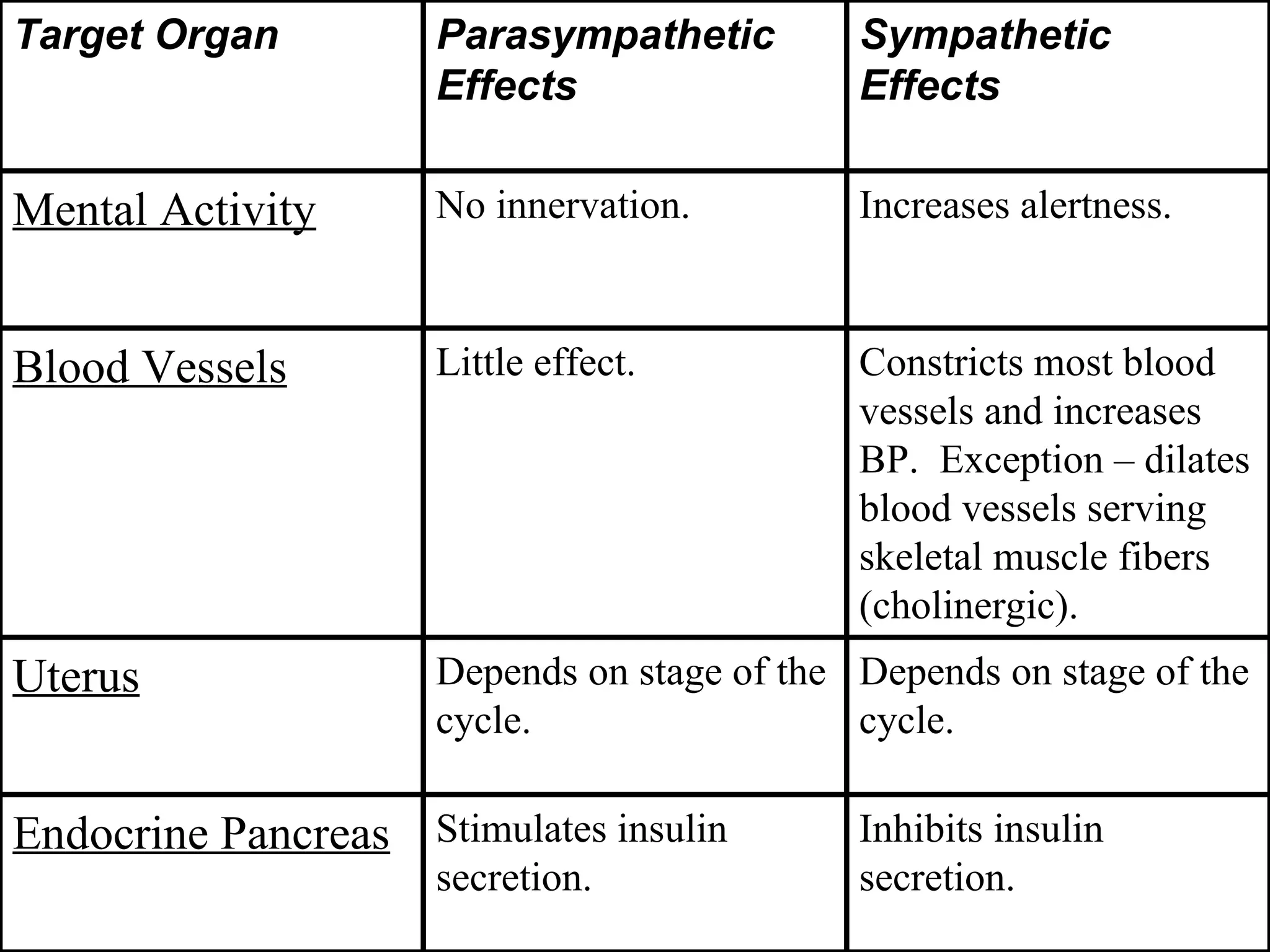 Inhibits insulin secretion. Stimulates insulin secretion. Endocrine Pancreas Increases alertness. No innervation. Mental Activity Depends on stage of the cycle. Depends on stage of the cycle. Uterus Constricts most blood vessels and increases BP.  Exception – dilates blood vessels serving skeletal muscle fibers (cholinergic). Little effect. Blood Vessels Sympathetic Effects Parasympathetic Effects Target Organ 