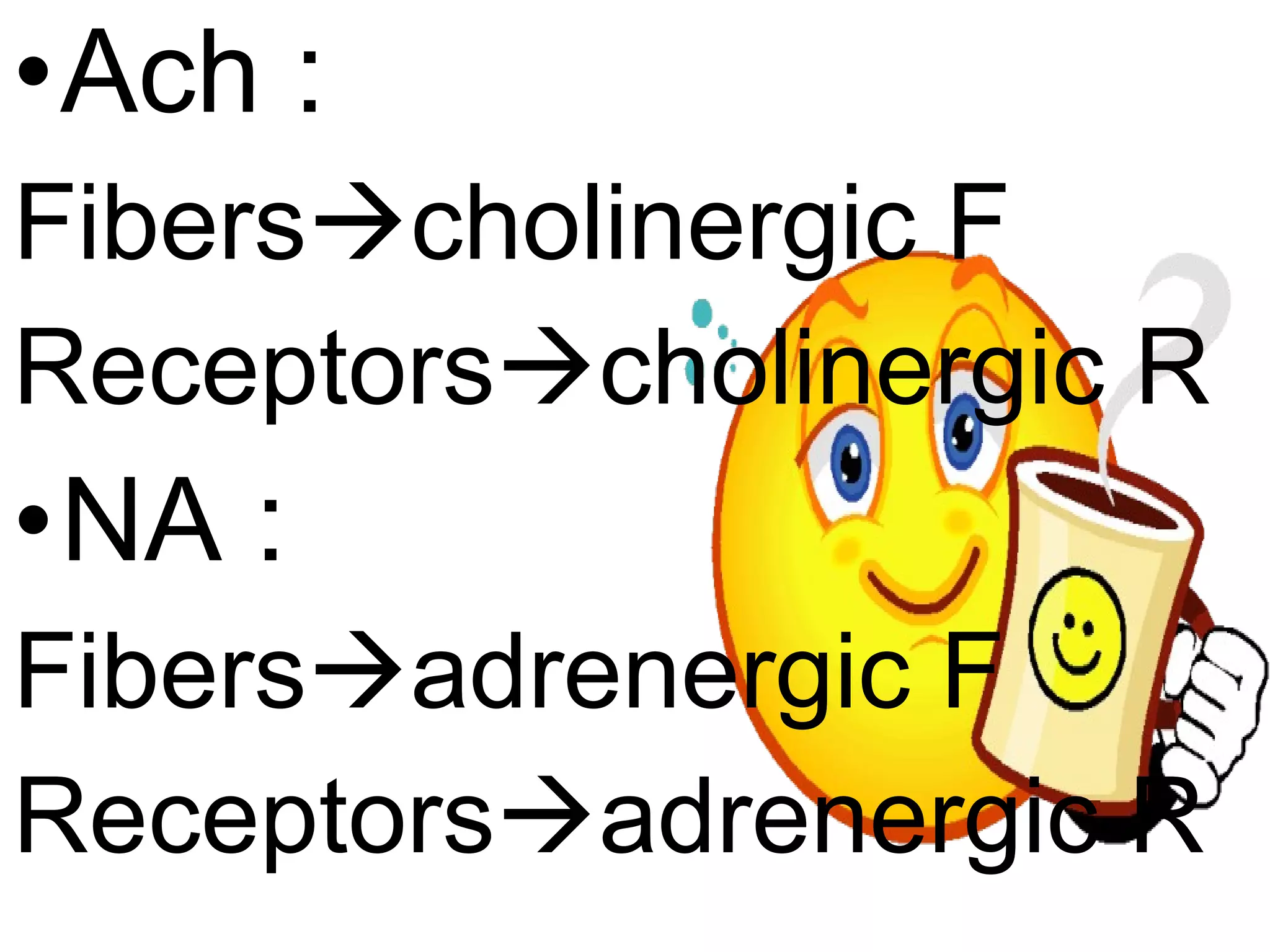 Ach : Fibers  cholinergic F Receptors  cholinergic R NA : Fibers  adrenergic F Receptors  adrenergic R 