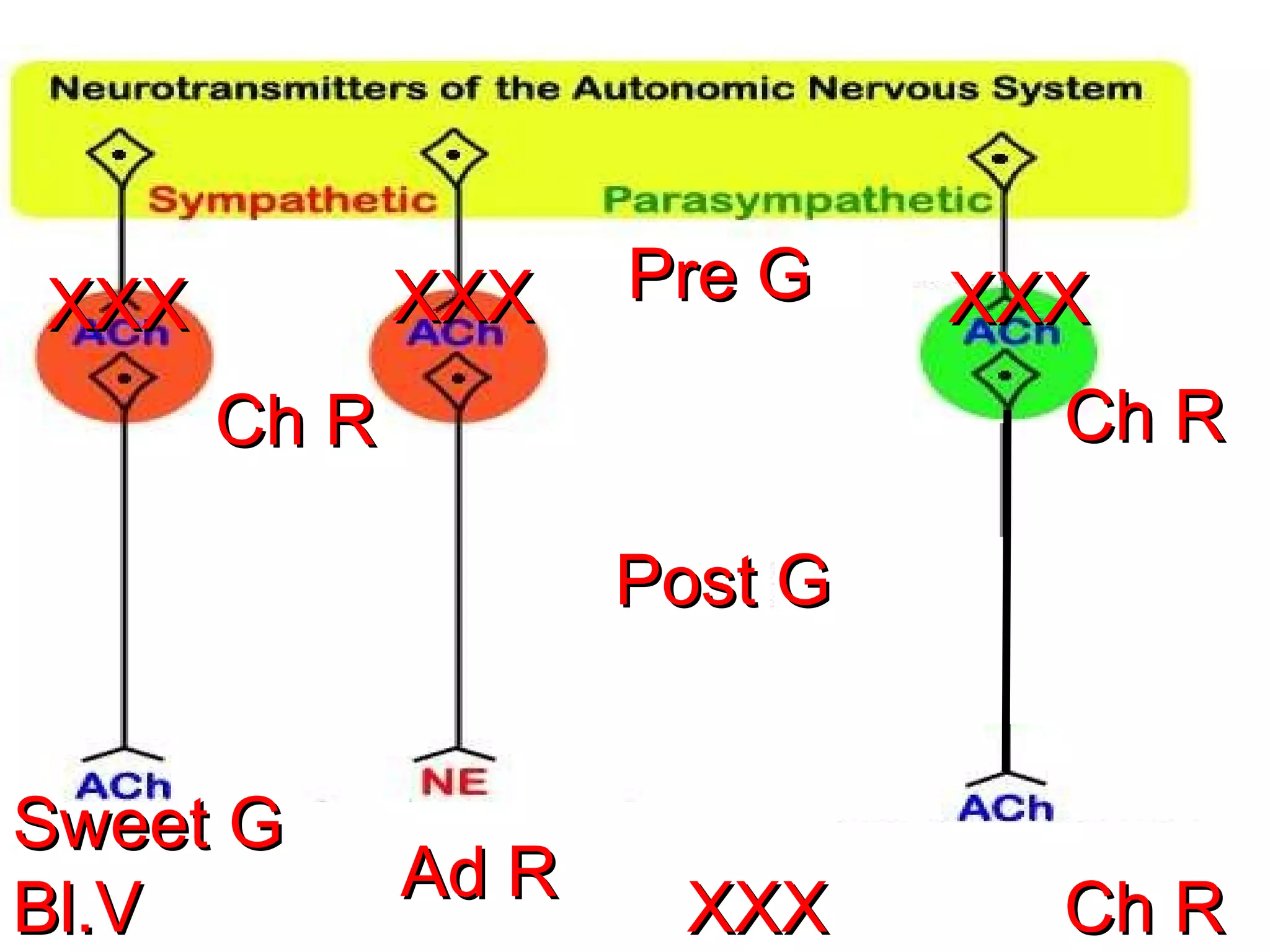 Sweet G  Bl.V Pre G Post G Ch R Ch R XXX XXX XXX XXX Ch R Ad R 