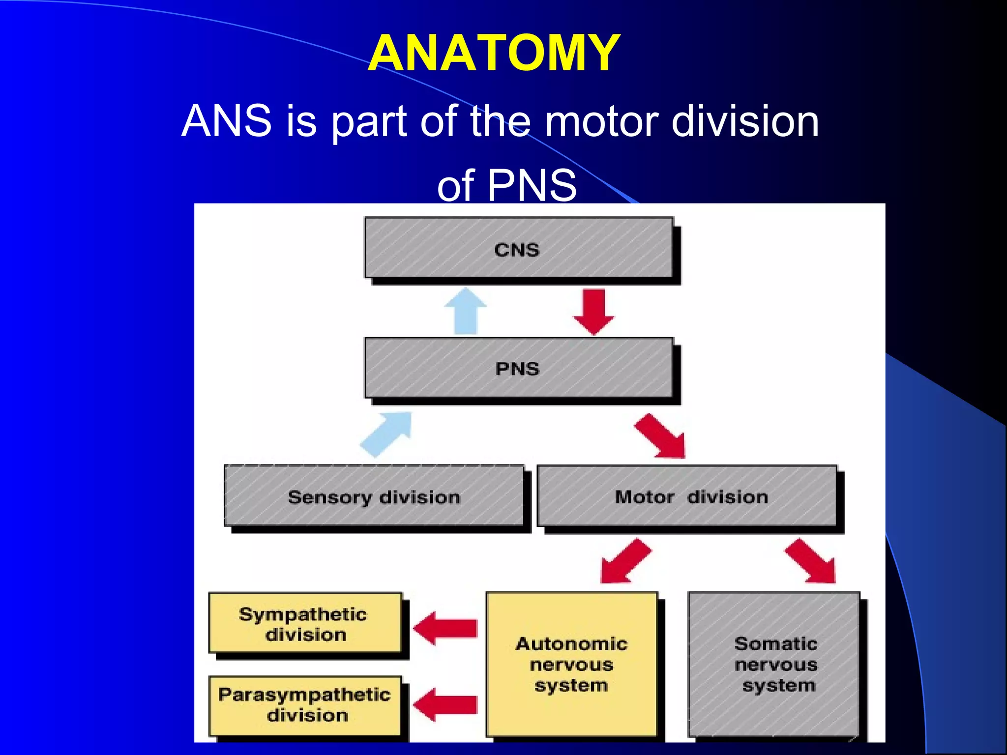 Ans physiology | PPT