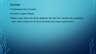 ANS Physiology and Receptors in brief.pptx