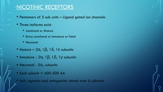 ANS Physiology and Receptors in brief.pptx