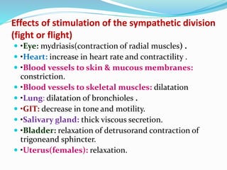 Effects of stimulation of the sympathetic division
(fight or flight)
 •Eye: mydriasis(contraction of radial muscles) .
 •Heart: increase in heart rate and contractility .
 •Blood vessels to skin & mucous membranes:
constriction.
 •Blood vessels to skeletal muscles: dilatation
 •Lung: dilatation of bronchioles .
 •GIT: decrease in tone and motility.
 •Salivary gland: thick viscous secretion.
 •Bladder: relaxation of detrusorand contraction of
trigoneand sphincter.
 •Uterus(females): relaxation.
 