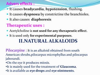 Advers effects :
 It causes bradycardia, hypotension, flushing.
 It causes dyspnoea by constrictine the branchioles.
 It also causes diaphoresis
Therapeutic uses :
 Acetylcholine is not used for any therapeutic effect.
 It is used only for experimental purposes.
II.NATURAL ALKALOIDS
Pilocarpine : It is an alkaloid obtained from south
American shrubs,pilocarpus microphyllus and pilocarpus
jaborandi.
•On the eye it produces miosis.
•It is mainly used for the treatment of Glaucoma.
•It is available as eye drops and eye ointments.
 