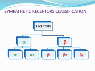 SYMPATHETIC RECEPTORS CLASSIFICATION
RECEPTORS

1 2

1 2 3
 