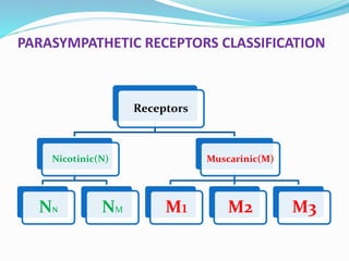 PARASYMPATHETIC RECEPTORS CLASSIFICATION
Receptors
Nicotinic(N)
NN NM
Muscarinic(M)
M1 M2 M3
 