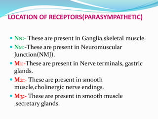 LOCATION OF RECEPTORS(PARASYMPATHETIC)
 NN:- These are present in Ganglia,skeletal muscle.
 NM:-These are present in Neuromuscular
Junction(NMJ).
 M1:-These are present in Nerve terminals, gastric
glands.
 M2:- These are present in smooth
muscle,cholinergic nerve endings.
 M3:- These are present in smooth muscle
,secretary glands.
 