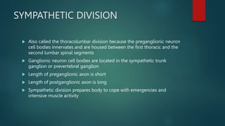 SYMPATHETIC DIVISION
 Also called the thoracolumbar division because the preganglionic neuron
cell bodies innervates and are housed between the first thoracic and the
second lumbar spinal segments
 Ganglionic neuron cell bodies are located in the sympathetic trunk
ganglion or prevertebral ganglion
 Length of preganglionic axon is short
 Length of postganglionic axon is long
 Sympathetic division prepares body to cope with emergencies and
intensive muscle activity
 