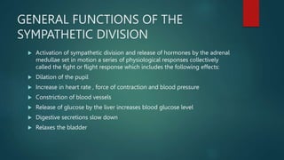 GENERAL FUNCTIONS OF THE
SYMPATHETIC DIVISION
 Activation of sympathetic division and release of hormones by the adrenal
medullae set in motion a series of physiological responses collectively
called the fight or flight response which includes the following effects:
 Dilation of the pupil
 Increase in heart rate , force of contraction and blood pressure
 Constriction of blood vessels
 Release of glucose by the liver increases blood glucose level
 Digestive secretions slow down
 Relaxes the bladder
 