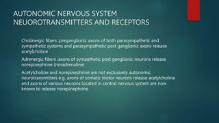 AUTONOMIC NERVOUS SYSTEM
NEUOROTRANSMITTERS AND RECEPTORS
Cholinergic fibers :preganglionic axons of both parasympathetic and
sympathetic systems and parasympathetic post ganglionic axons release
acetylcholine
Adrenergic fibers :axons of sympathetic post ganglionic neurons release
norepinephrine (noradrenaline)
Acetylcholine and norepinephrine are not exclusively autonomic
neurotransmitters e.g. axons of somatic motor neurons release acetylcholine
and axons of various neurons located in central nervous system are now
known to release norepinephrine
 