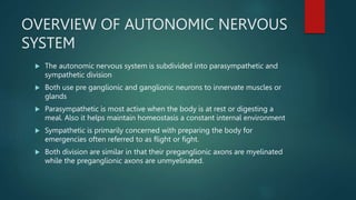 OVERVIEW OF AUTONOMIC NERVOUS
SYSTEM
 The autonomic nervous system is subdivided into parasympathetic and
sympathetic division
 Both use pre ganglionic and ganglionic neurons to innervate muscles or
glands
 Parasympathetic is most active when the body is at rest or digesting a
meal. Also it helps maintain homeostasis a constant internal environment
 Sympathetic is primarily concerned with preparing the body for
emergencies often referred to as flight or fight.
 Both division are similar in that their preganglionic axons are myelinated
while the preganglionic axons are unmyelinated.
 