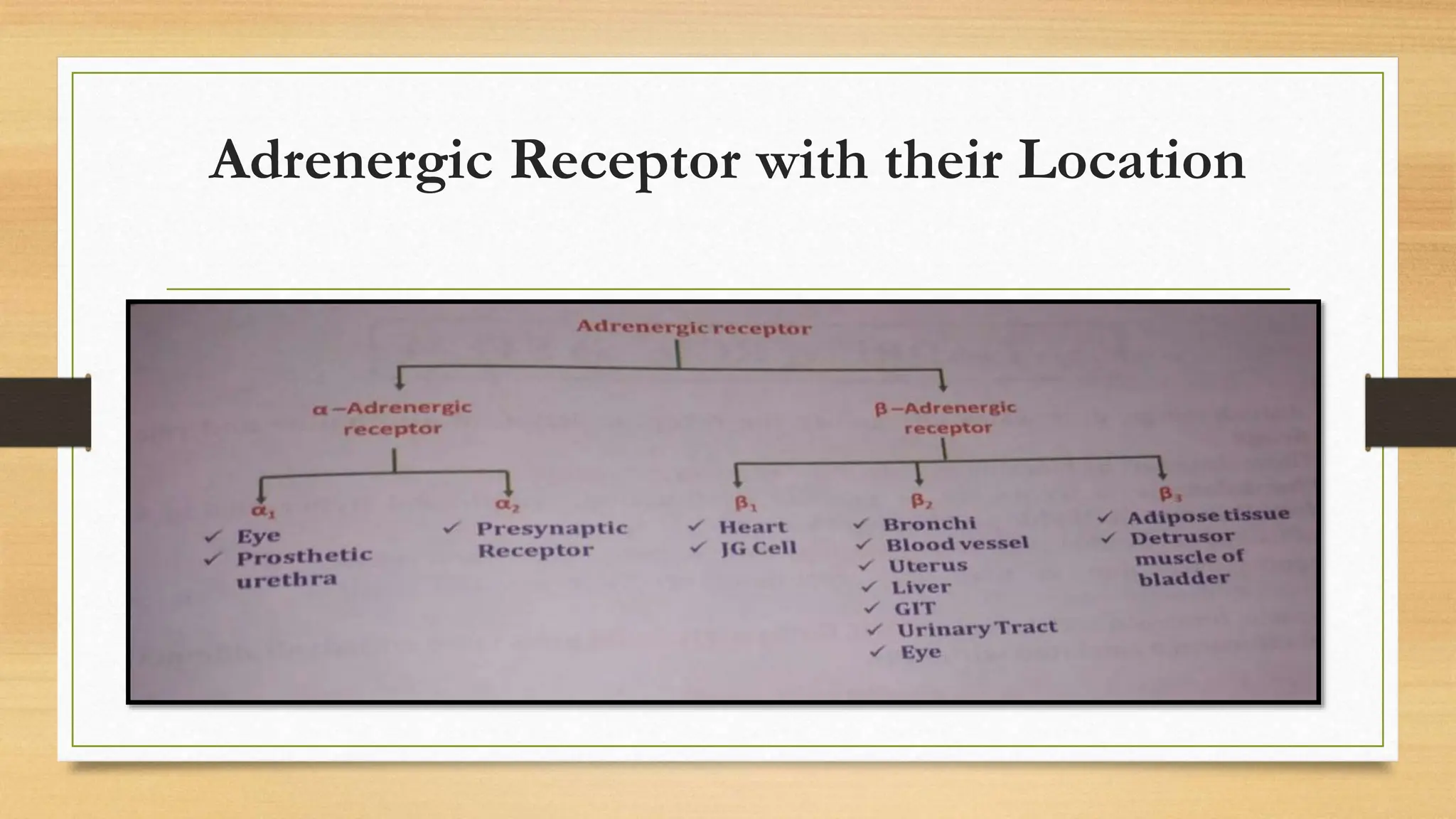 Adrenergic Receptor with their Location
 