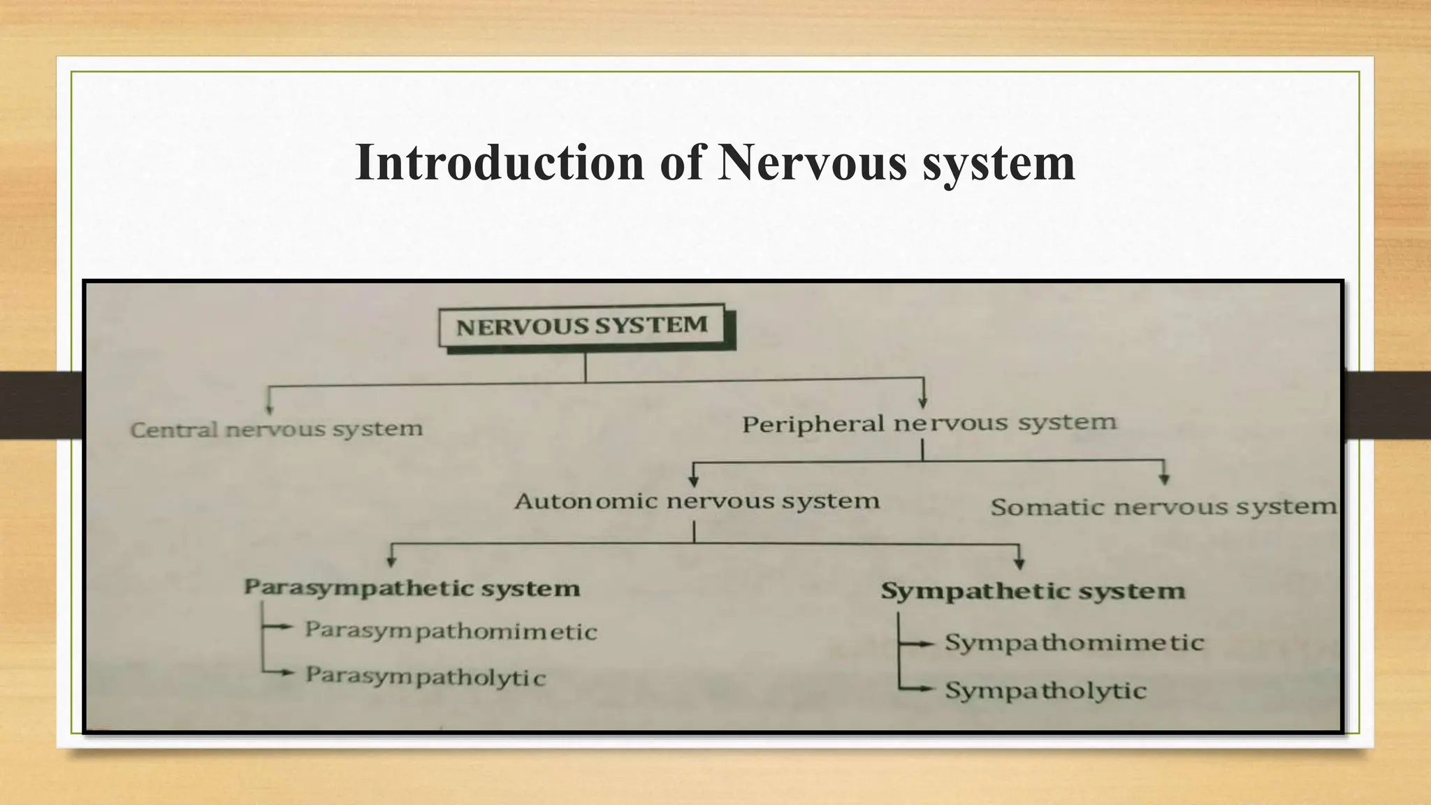 Introduction of Nervous system
 