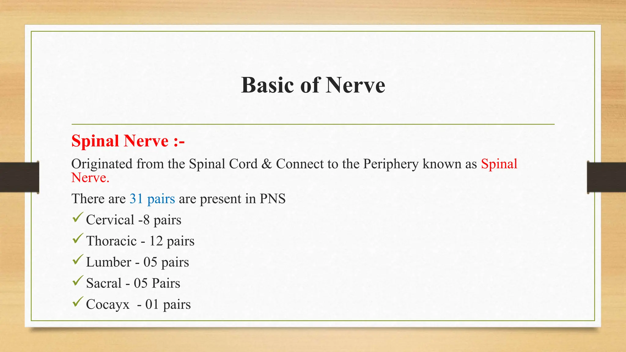 Basic of Nerve
Spinal Nerve :-
Originated from the Spinal Cord & Connect to the Periphery known as Spinal
Nerve.
There are 31 pairs are present in PNS
Cervical -8 pairs
Thoracic - 12 pairs
Lumber - 05 pairs
Sacral - 05 Pairs
Cocayx - 01 pairs
 