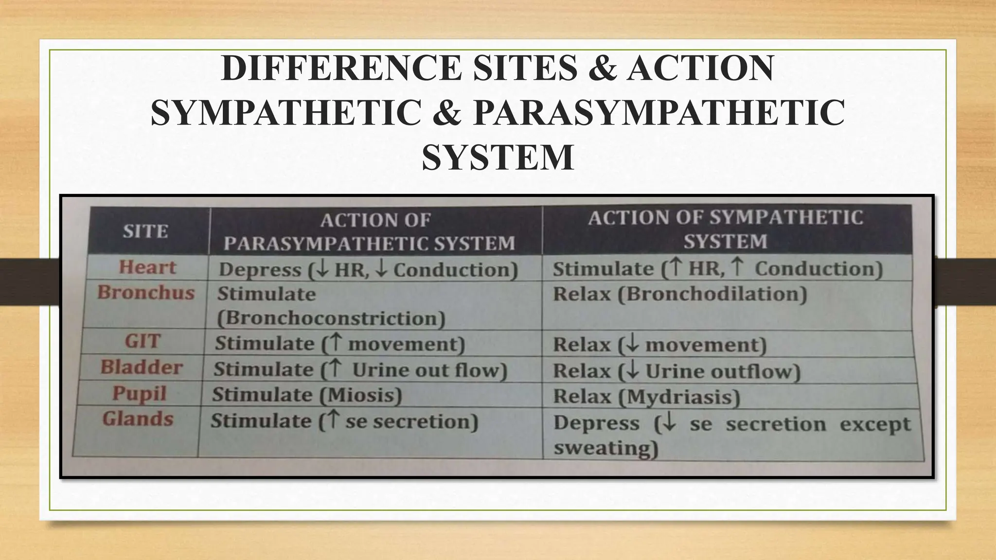 DIFFERENCE SITES & ACTION
SYMPATHETIC & PARASYMPATHETIC
SYSTEM
 