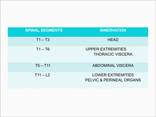 SPINAL SEGMENTS

INNERVATION

T1 – T3

HEAD

T1 – T6

UPPER EXTREMITIES
THORACIC VISCERA

T5 – T11

ABDOMINAL VISCERA

T11 – L2

LOWER EXTREMITIES
PELVIC & PERINEAL ORGANS

 