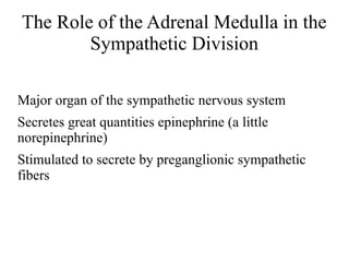 The Role of the Adrenal Medulla in the
Sympathetic Division
Major organ of the sympathetic nervous system
Secretes great quantities epinephrine (a little
norepinephrine)
Stimulated to secrete by preganglionic sympathetic
fibers

 