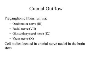 Cranial Outflow
Preganglionic fibers run via:
–

Oculomotor nerve (III)

–

Facial nerve (VII)

–

Glossopharyngeal nerve (IX)

–

Vagus nerve (X)

Cell bodies located in cranial nerve nuclei in the brain
stem

 