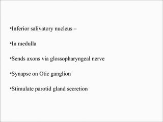 Inferior salivatory nucleus –

●

In medulla

●

Sends axons via glossopharyngeal nerve

●

Synapse on Otic ganglion

●

Stimulate parotid gland secretion

●

 