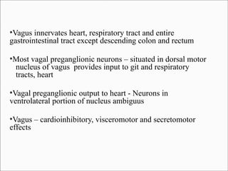 Vagus innervates heart, respiratory tract and entire
gastrointestinal tract except descending colon and rectum
●

Most vagal preganglionic neurons – situated in dorsal motor
nucleus of vagus provides input to git and respiratory
tracts, heart

●

Vagal preganglionic output to heart - Neurons in
ventrolateral portion of nucleus ambiguus
●

Vagus – cardioinhibitory, visceromotor and secretomotor
effects
●

 
